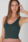 Plunge Reversible Top